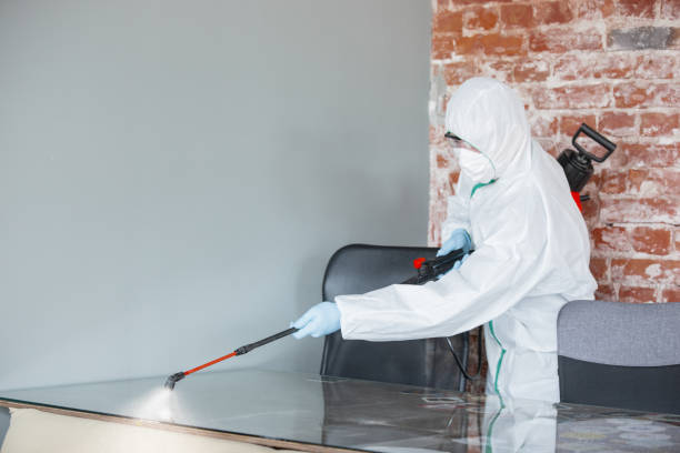 Best Asbestos and Lead Testing During Mold Inspection  in Lexington, MN